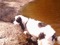 /album/patu/whoo13-333-jpg/